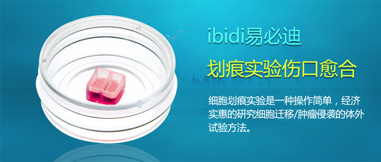 德國IBIDI易必迪